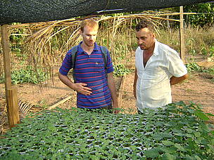 Seu Daniel (de branco) mostra ao engenheiro Glaucionei Brissow as mudas de abóboras que serão plantadas em seu projeto de SAF.