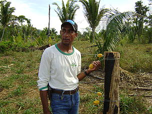 O agricultor Gilberto Araújo, um dos agricultores que apostou nos sistemas agroflorestais como fonte de renda sustentável