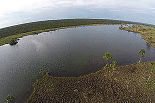 Imagem aérea de um quadricoptero (WWF)