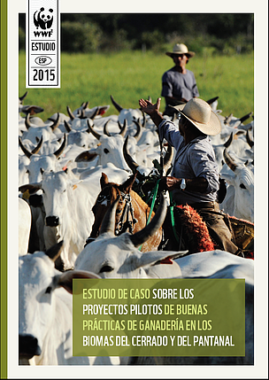 Estudio de caso sobre los proyectos piloto de buenas prácticas de ganadería en los biomas del Cerrado y del Pantanal