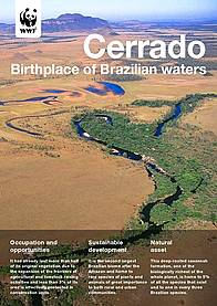 Cerrado Factsheet cover 
© WWF-Brasil
