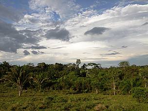  As áreas de APP e reserva legal são respeitadas na propriedade de 1.250 hectares de Paulo Sérgio Peres, médio produtor agrícola no Acre.