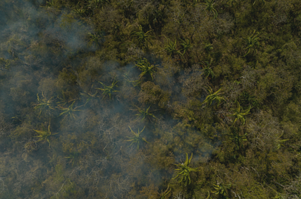  Queimadas no bioma Cerrado, na transição com a Amazônia, na Terra Indígena Parabubure, do povo Xavante, no Mato Grosso 