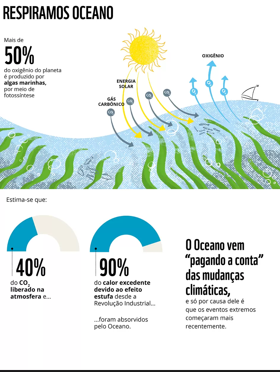 Mais de 50% do oxigênio do Planeta é produzido por algas marinhas, por meio de fotossíntese. 
rel=