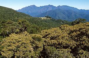 Parque Nacional de Itatiaia, no Rio de Janeiro, uma das partes mais altas da Ecorregião Serra do Mar.
