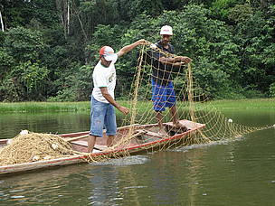 Pescadores trabalham no manejo do pirarucu no lago Santo Antônio