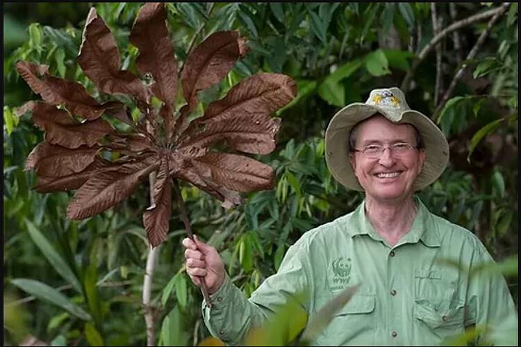  Thomas Lovejoy (1941-2021), biólogo considerado padrinho da biodiversidade, pesquisador do ponto de inflexão da Amazônia (tipping point) 