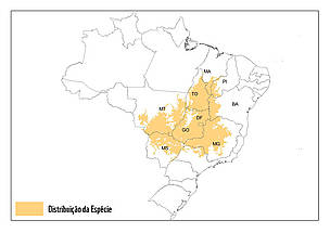Mapa de distribuição da espécie - Papagaio-galego