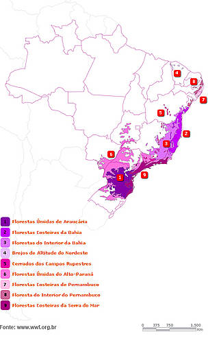 Mapa do bioma Mata Atlântica 
© WWF-Brasil