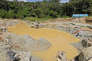 Biodiversidade Amazônica sob ameaça pela contaminação de mercúrio