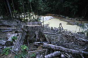 mineração na Guiana Francesa
