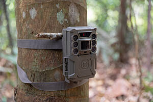 Camera traps were also installed on trails in the forest to capture videos of wildlife 