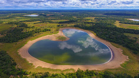 Silas Miotti / WWF-Brazil rel=