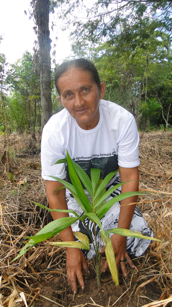 Segundo a Organização das Nações Unidas (ONU), as mulheres são as mais afetadas pelos efeitos das Mudanças Climáticas