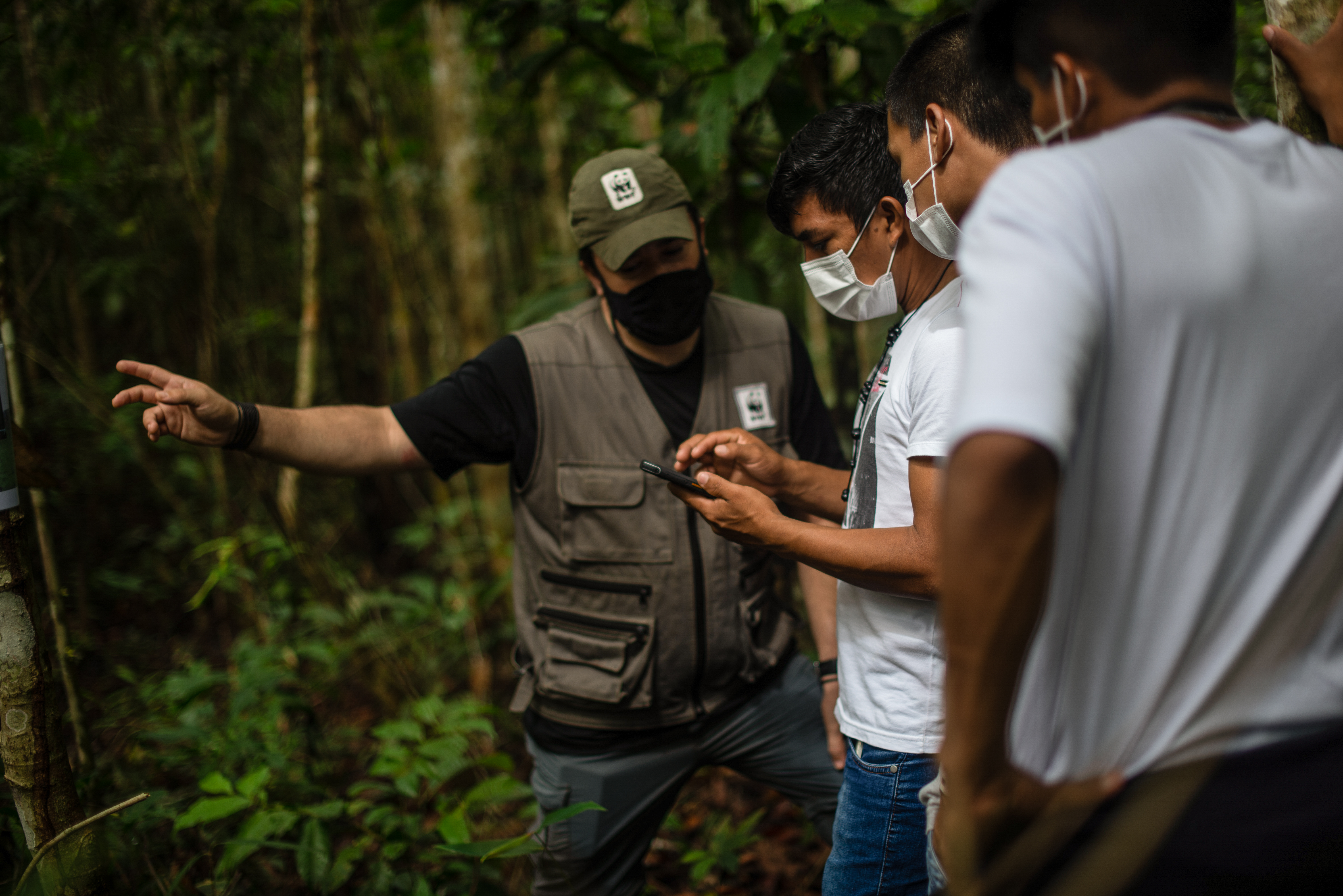 Em Rondônia, onde os trabalhos estão em curso, a organização parceira do WWF-Brasil é a Kanindé, que atua há quase 30 anos em ações de proteção territorial na Amazônia. 