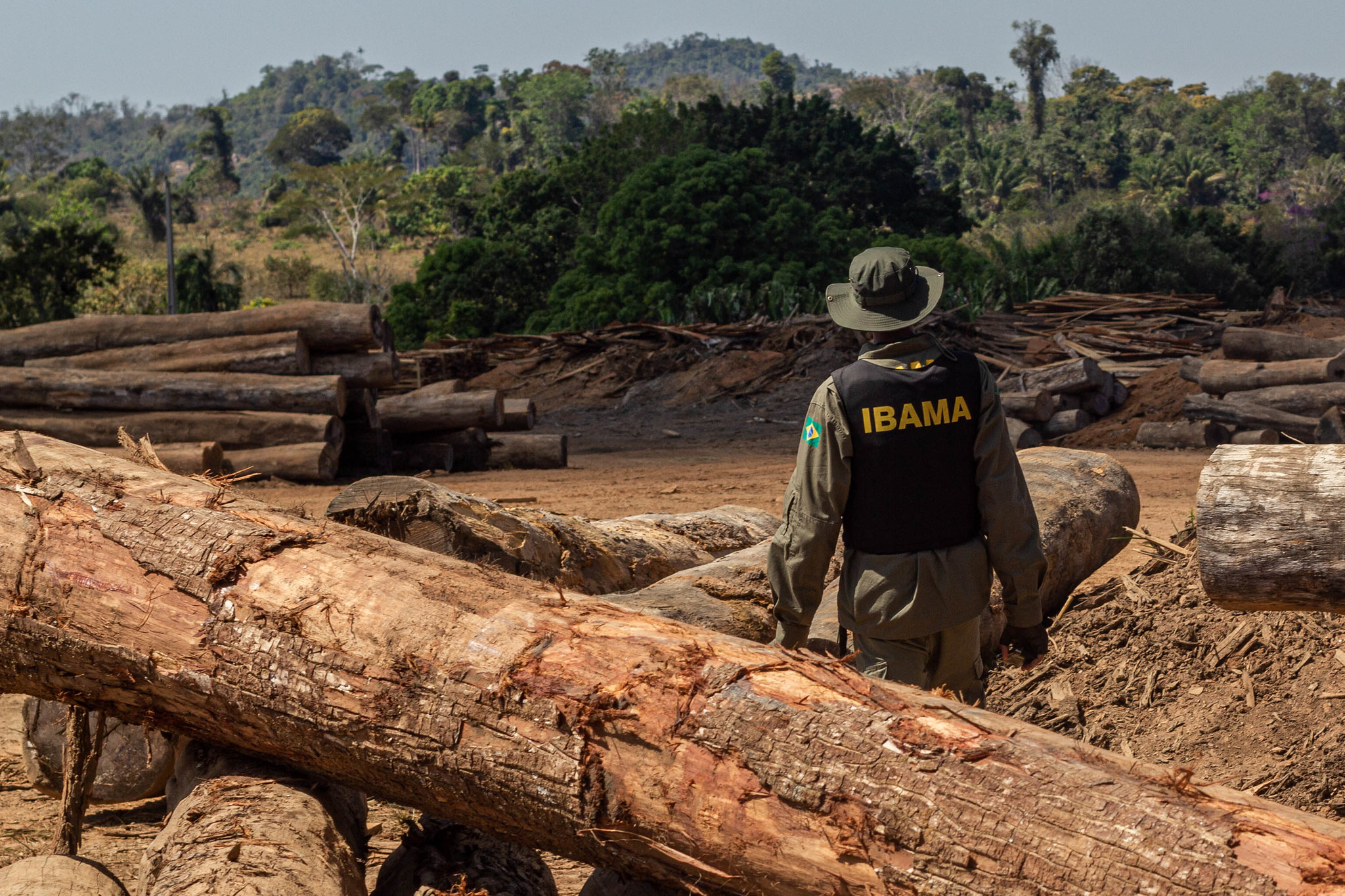 Deforestation in Brazil's Cerrado rises 3% in 2022/23