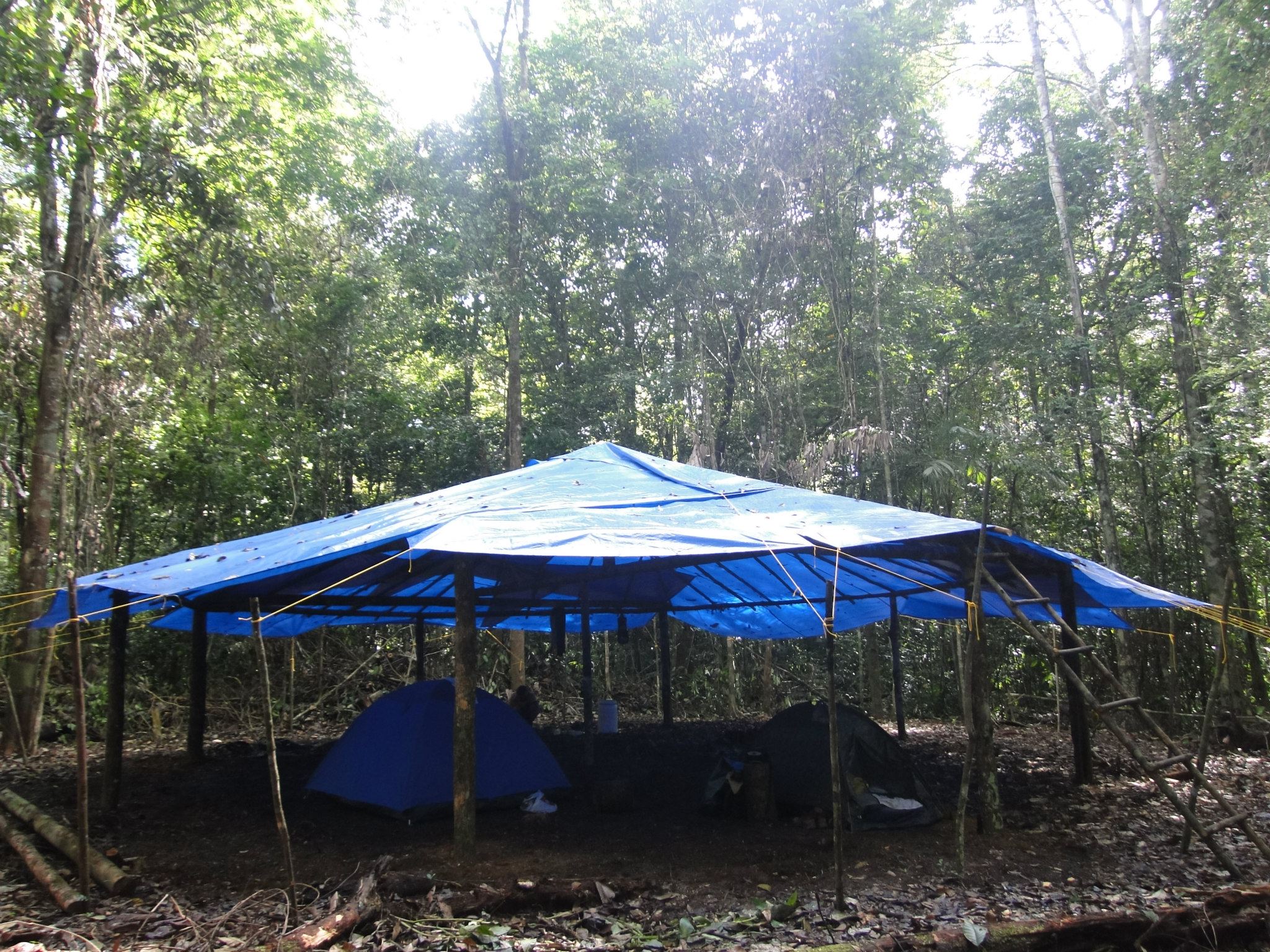 Centro Rústico de Vivência possui estrutura básica para a observação da natureza