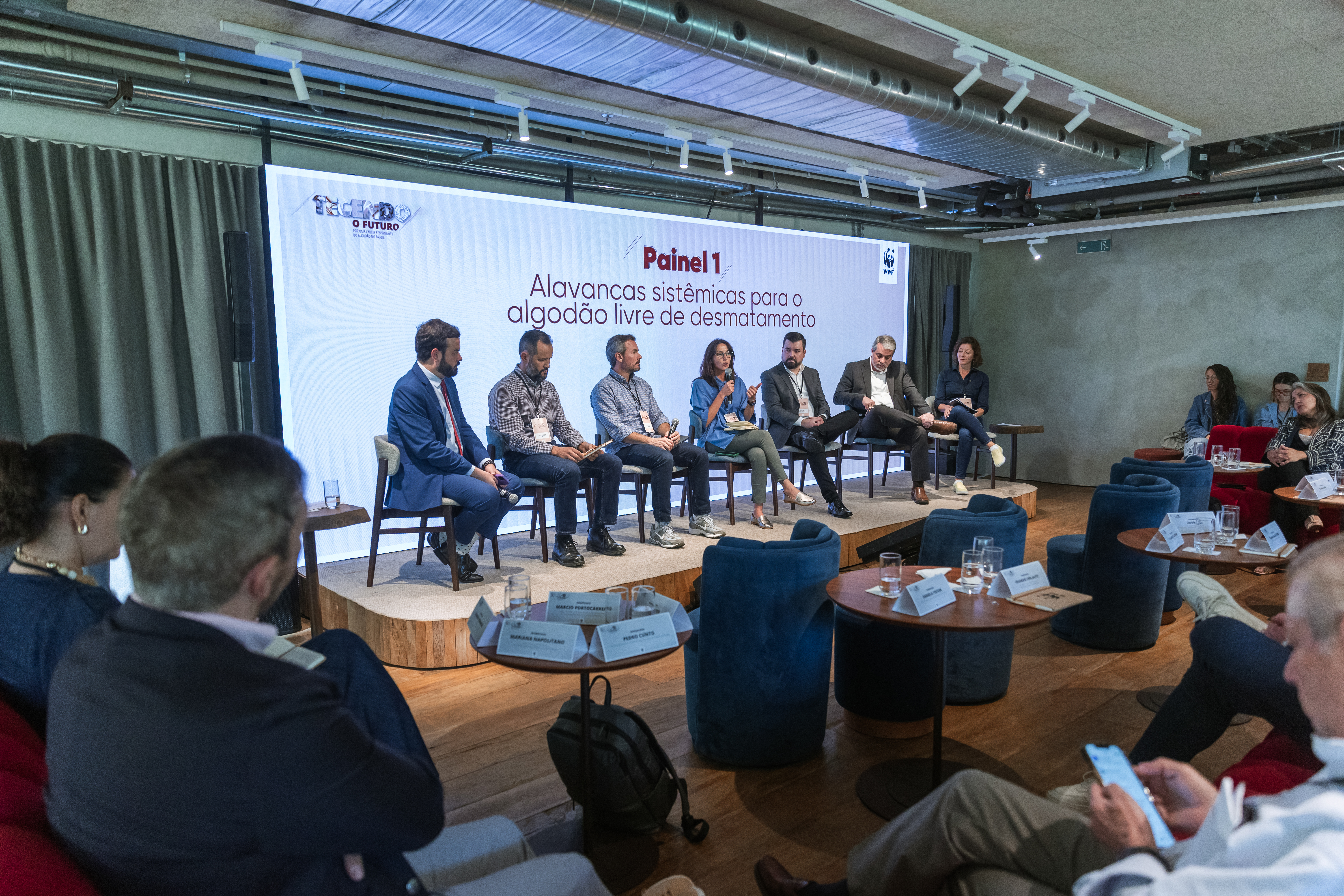 Painel 1: alavancas sistêmicas para o algodão livre de desmatamento