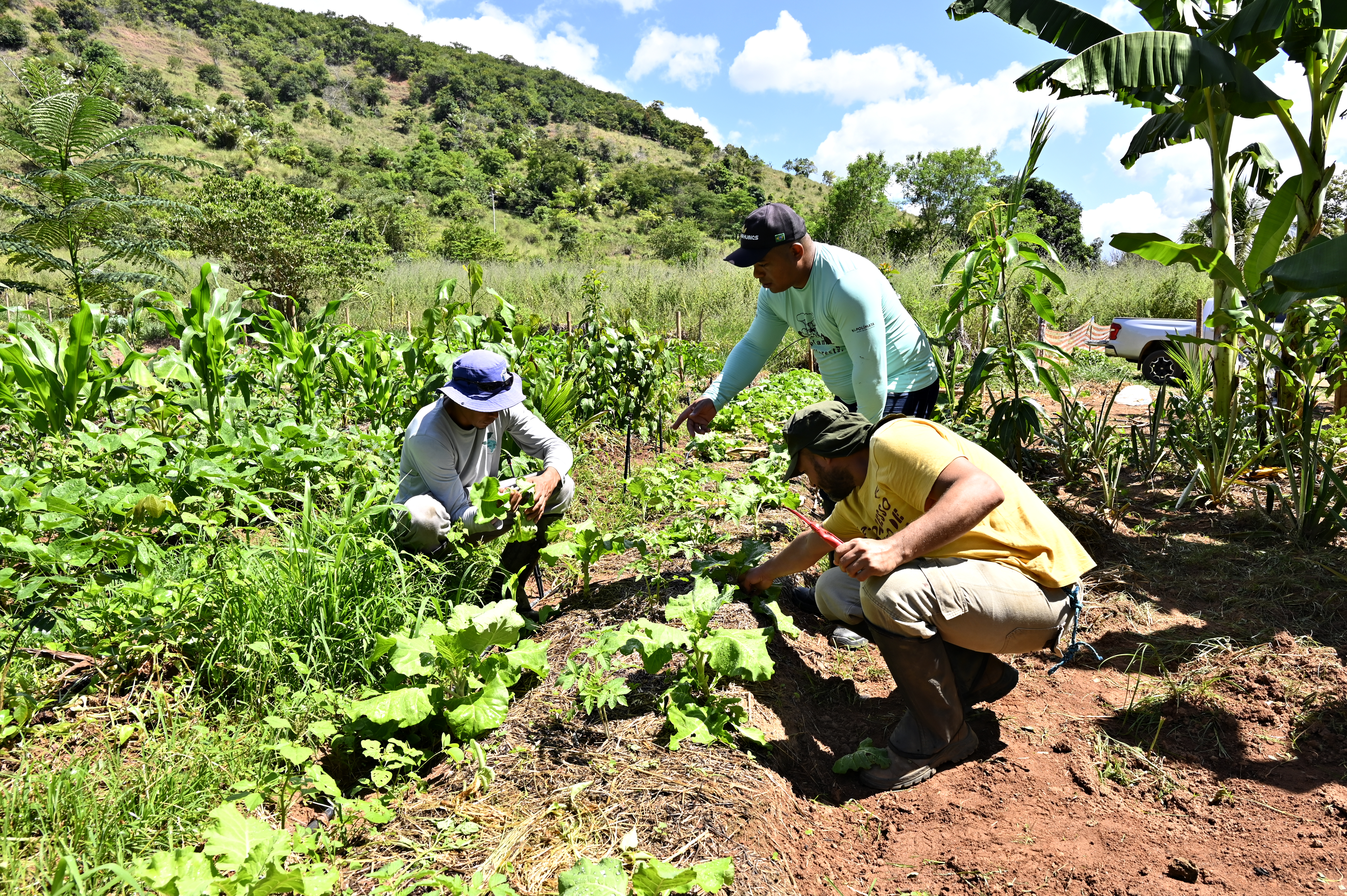 Toda a comunidade se envolveu com o SAF e hoje ele é visto como caminho para a sustentabilidade de cada família.