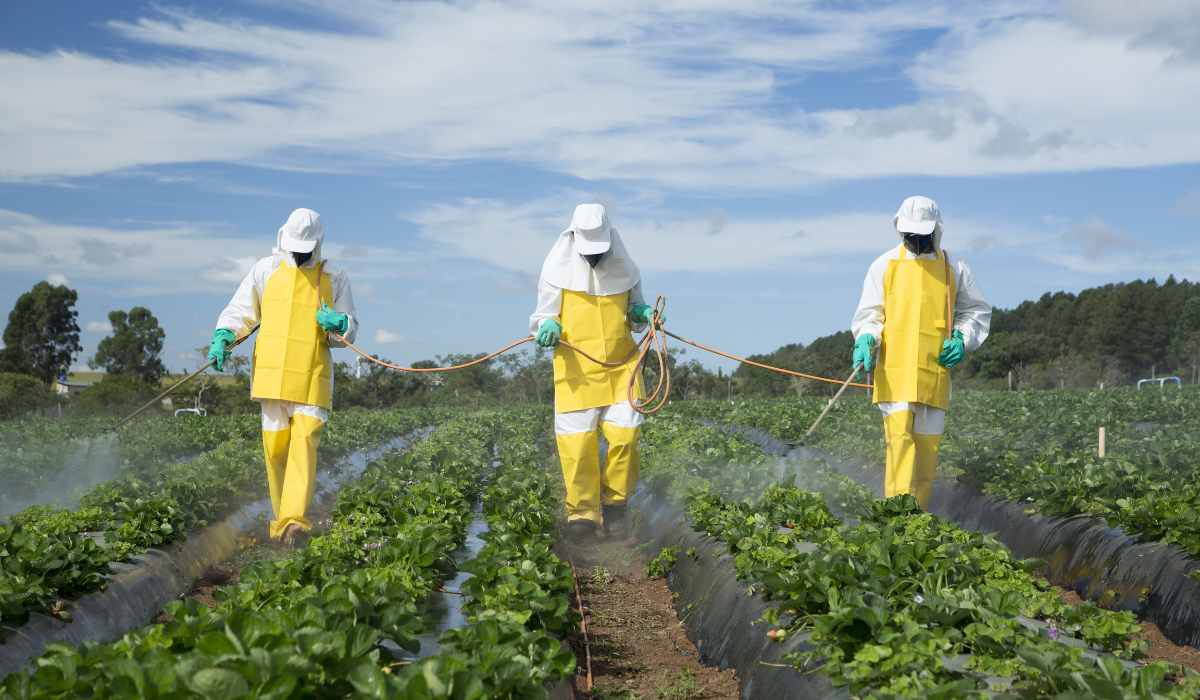 Brazil's agrochemical use doubled between 2010 and 2021 WWF Brasil