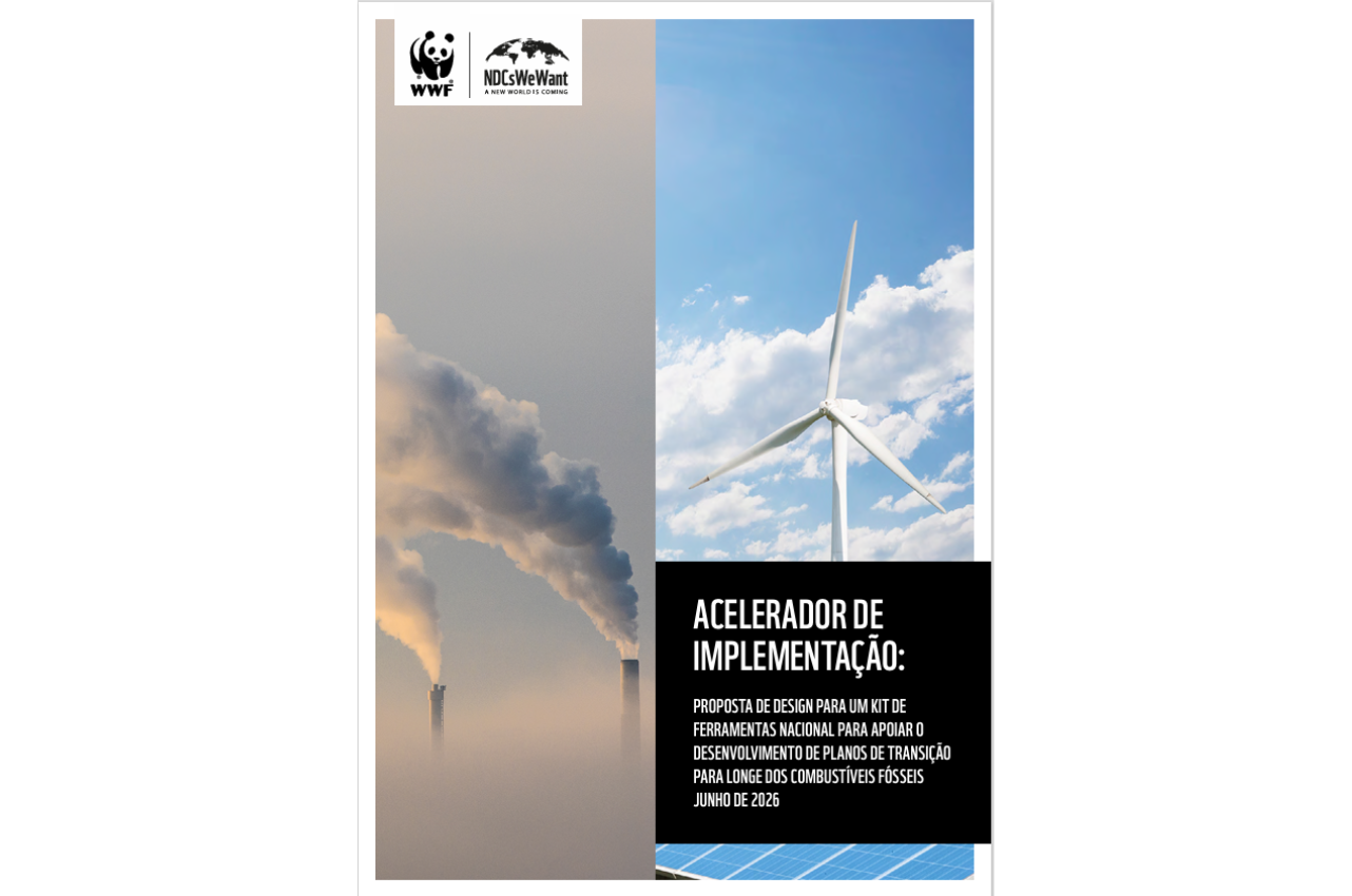 Capa da publicação Acelerador de implementação: proposta de design para um kit de ferramentas nacional para apoiar o desenvolvimento de planos de TAFF