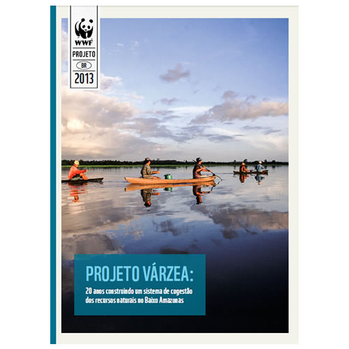 Relatório 2014 - Projeto Estruturante do Pirarucu da Amazônia by Mídia  Plano - Issuu