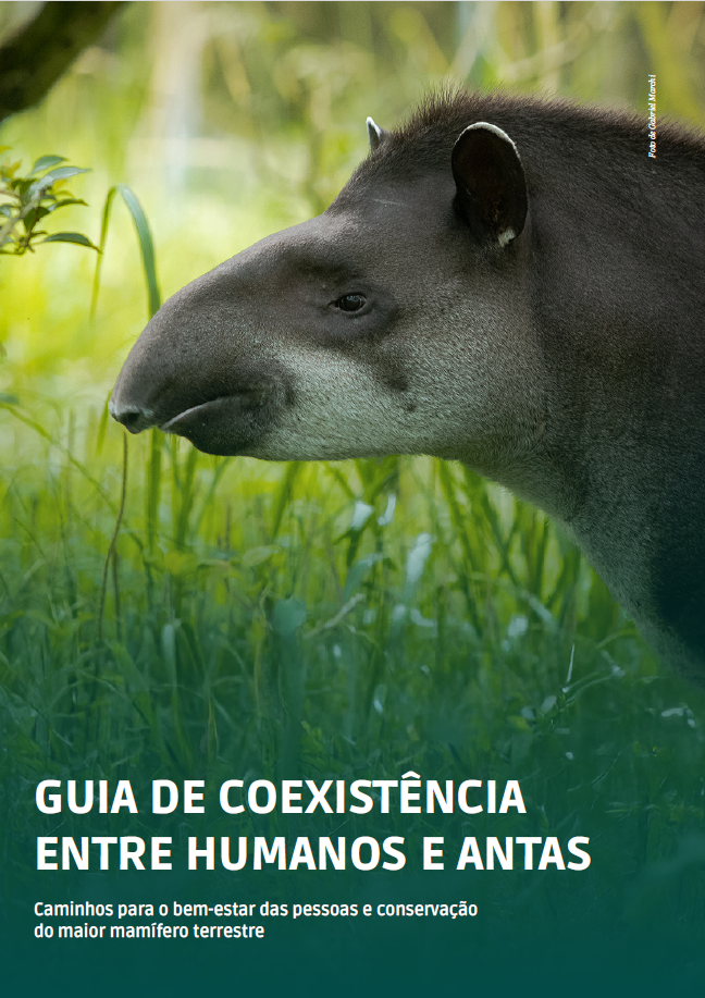 A publicação traz capítulos que abordam as principais ameaças à espécie, orientações de cultivo sustentável e outras recomendações.