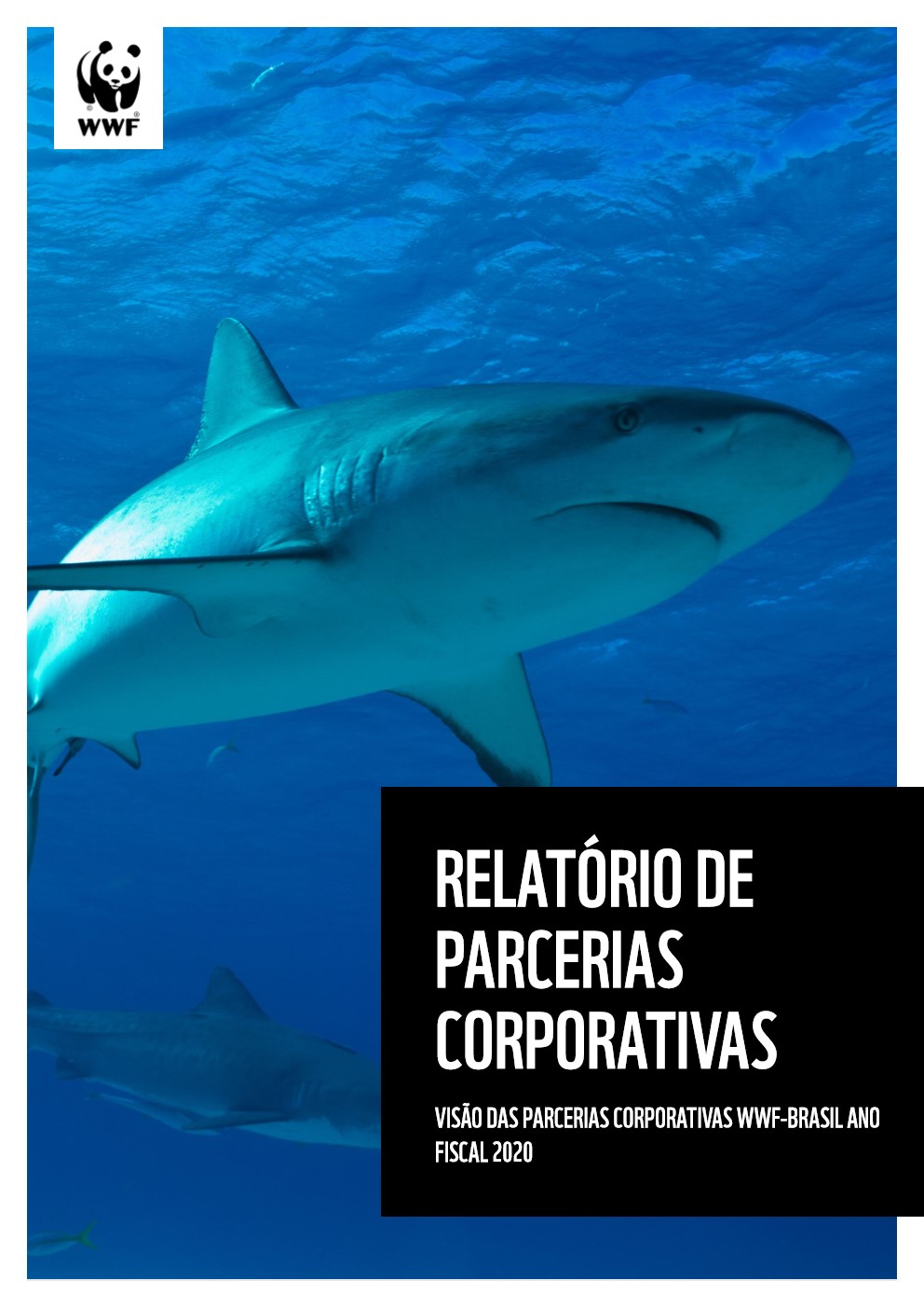 Capa do Relatório de Parceria Corporativas 2020
