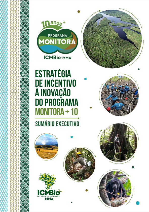 Monitora +10 – Estratégia de Incentivo à Inovação
