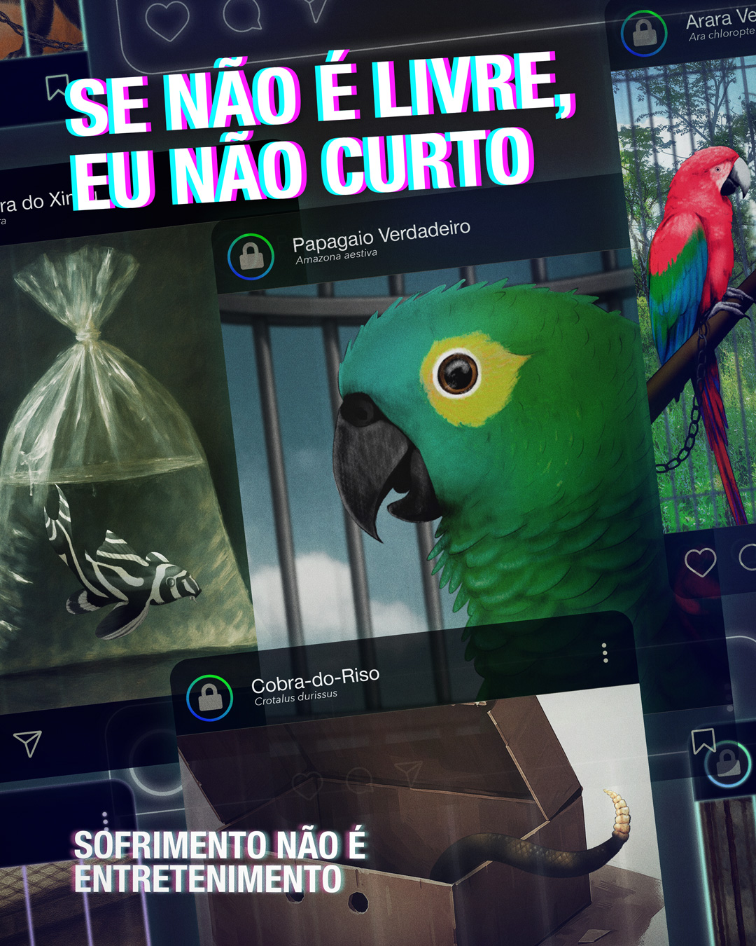 A campanha “Se não é livre, eu não curto”, procura sensibilizar a população sobre o tema, convidando os cidadãos a evitarem a interação com conteúdos que exploram as espécies silvestres.