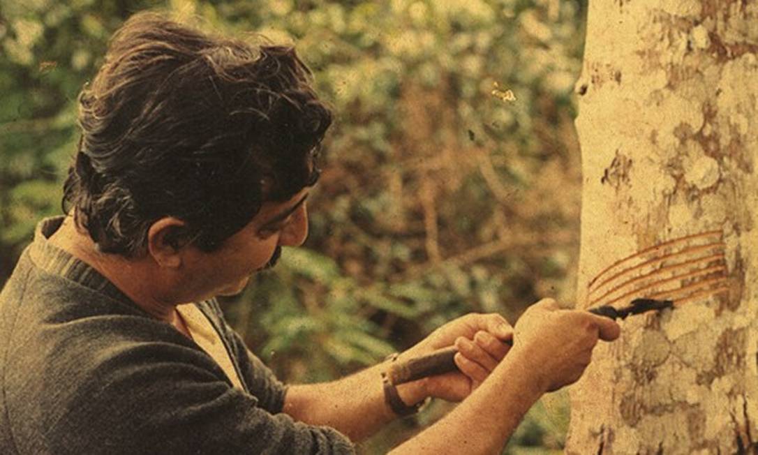 Chico Mendes: Conheça a história do maior líder ambientalista do Brasil