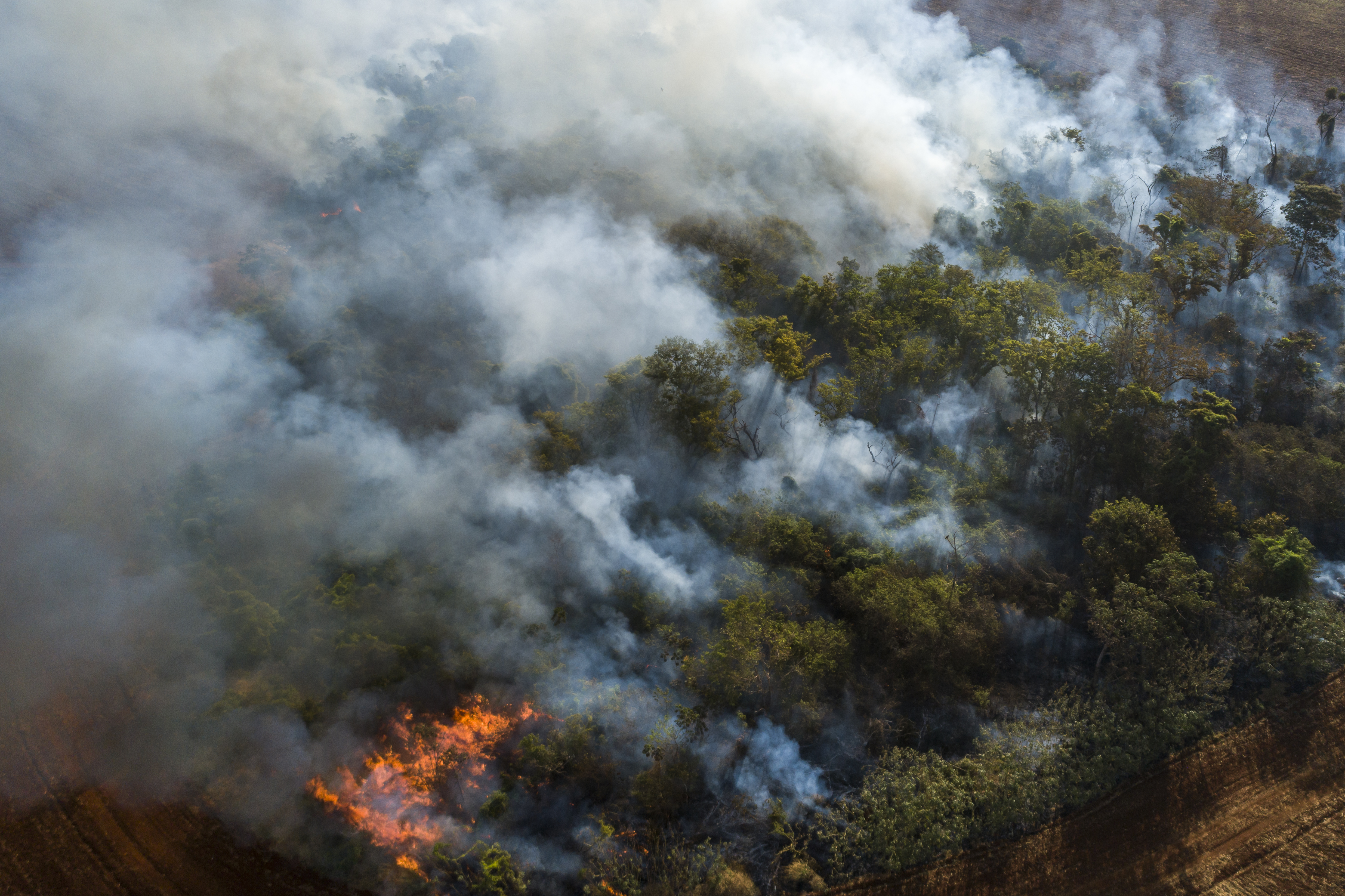 Vista de drone de incêndio florestal provocado em Vilhena, município brasileiro do estado de Rondônia.
