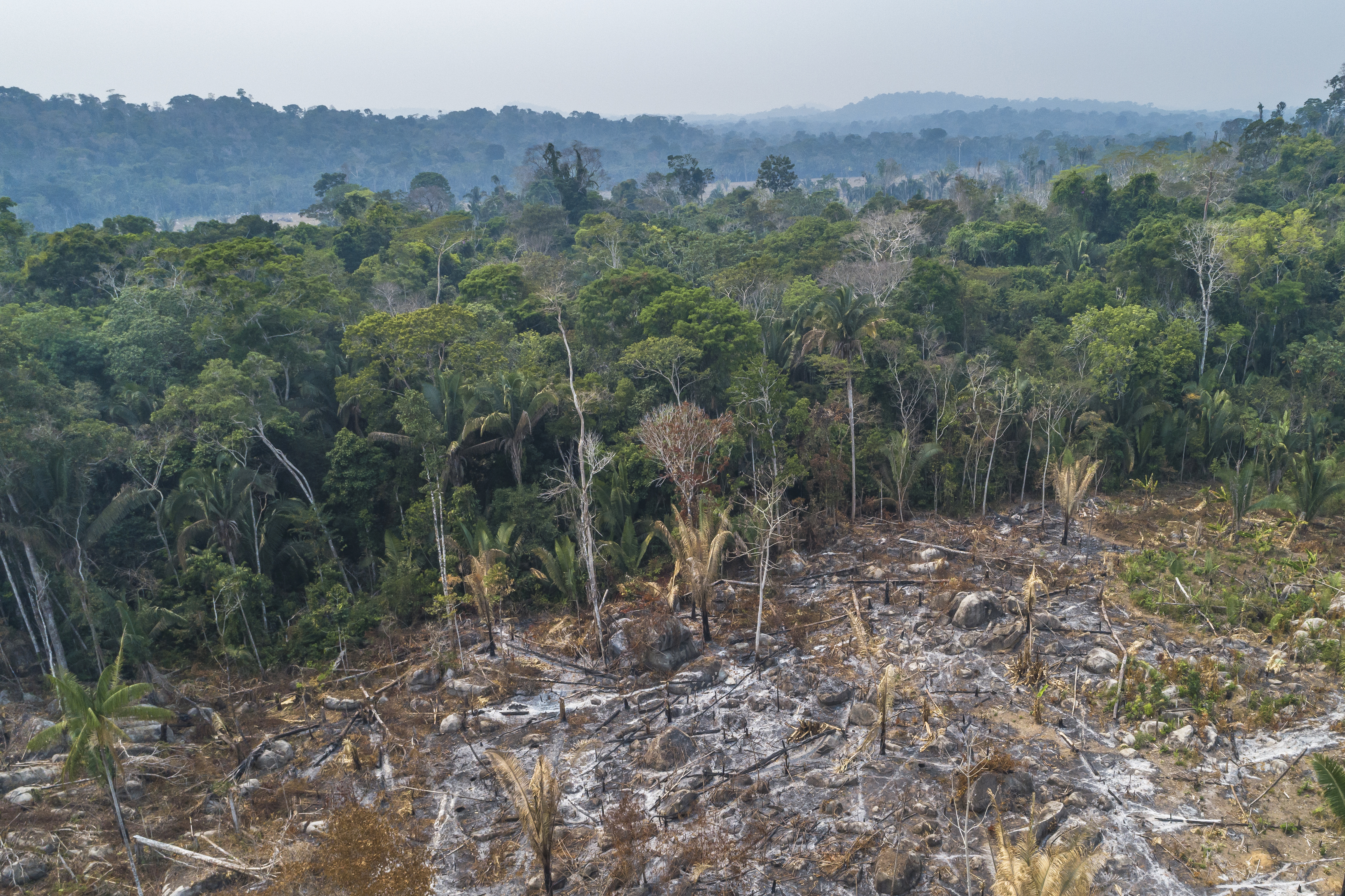 Crise climática: seca severa na Amazônia é agravada por desmatamento e fogo