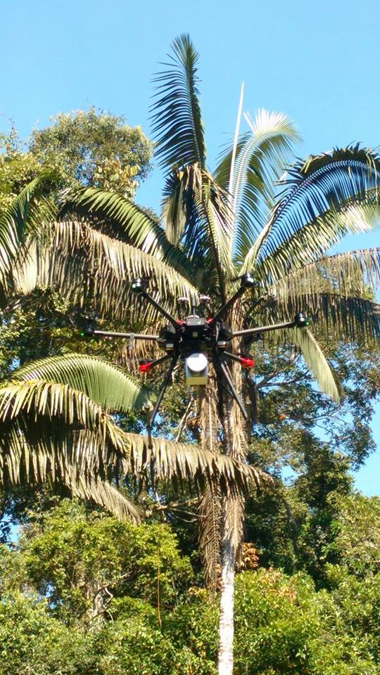 Desde o ano passado, o WWF-Brasil e a Universidade Federal de Goiás trabalham juntos para testar os drones no monitoramento de florestas e biodiversidade
