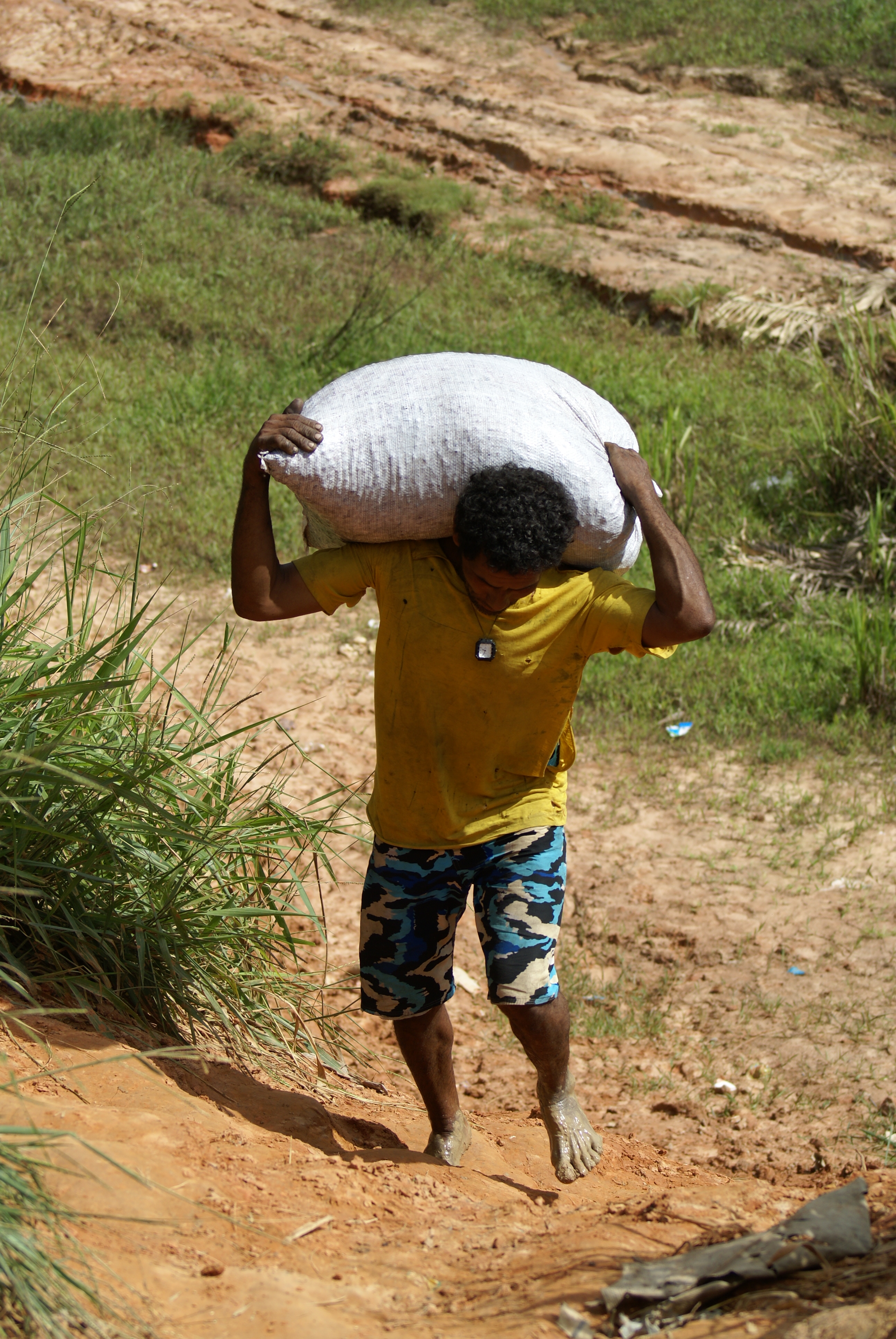 Duas vezes por semana, os produtores do Parque das Ciganas levam sua produção para a venda