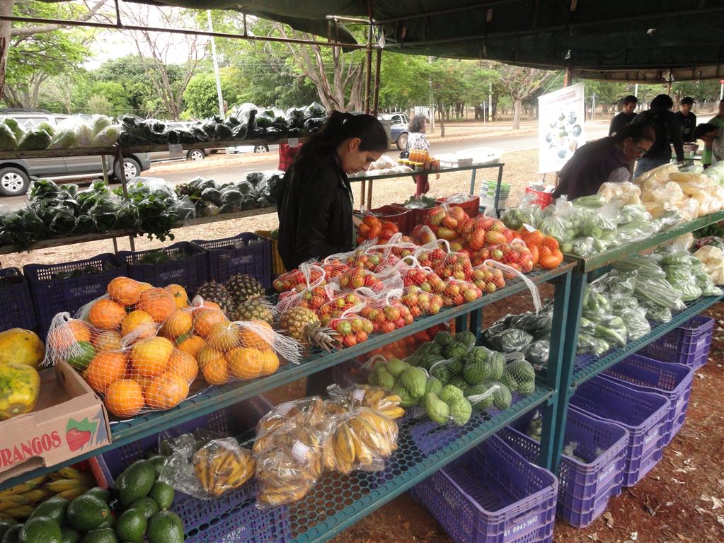 Orgânicos na feira da Estação Biológica (Asa Norte): benefícios à saúde e ao meio ambiente
