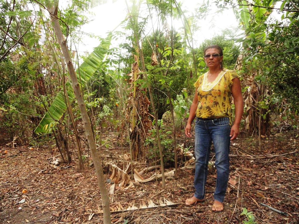 Rosely em meio ao cultivo de variadas espécies em sistema agroflorestal