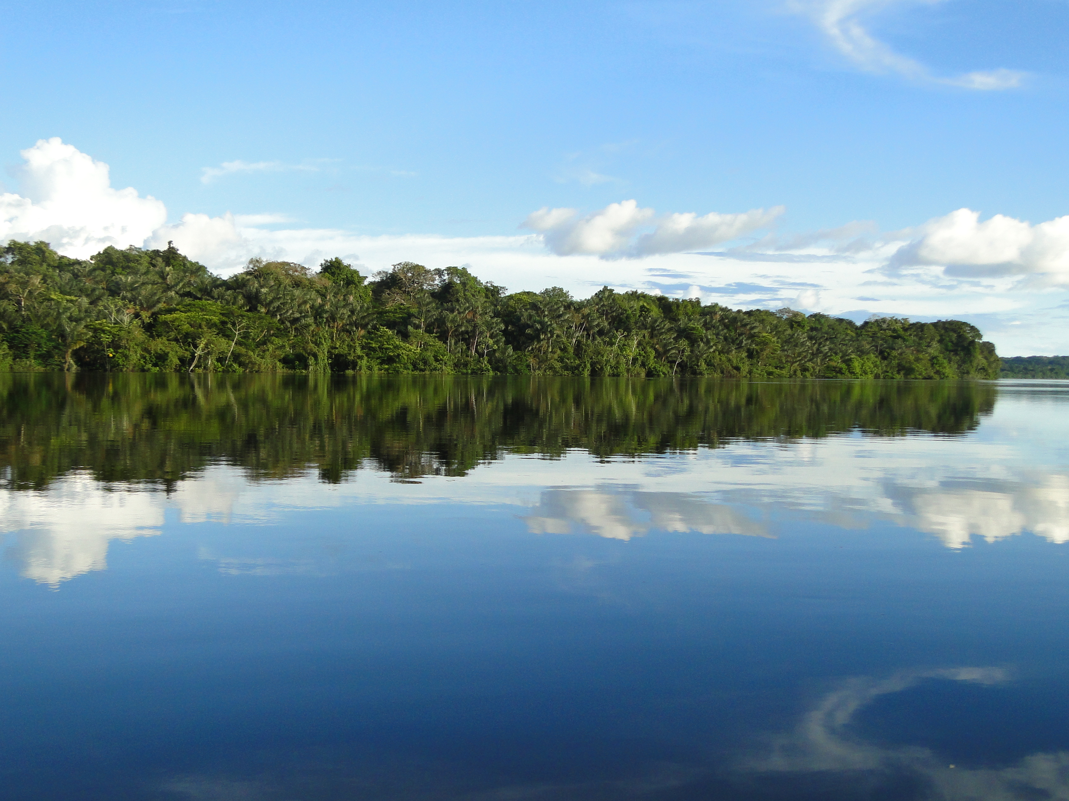 Desde 2003, o WWF-Brasil promove ações de conservação na área que viria a se tornar, em 2006, o Parque Nacional do Juruena