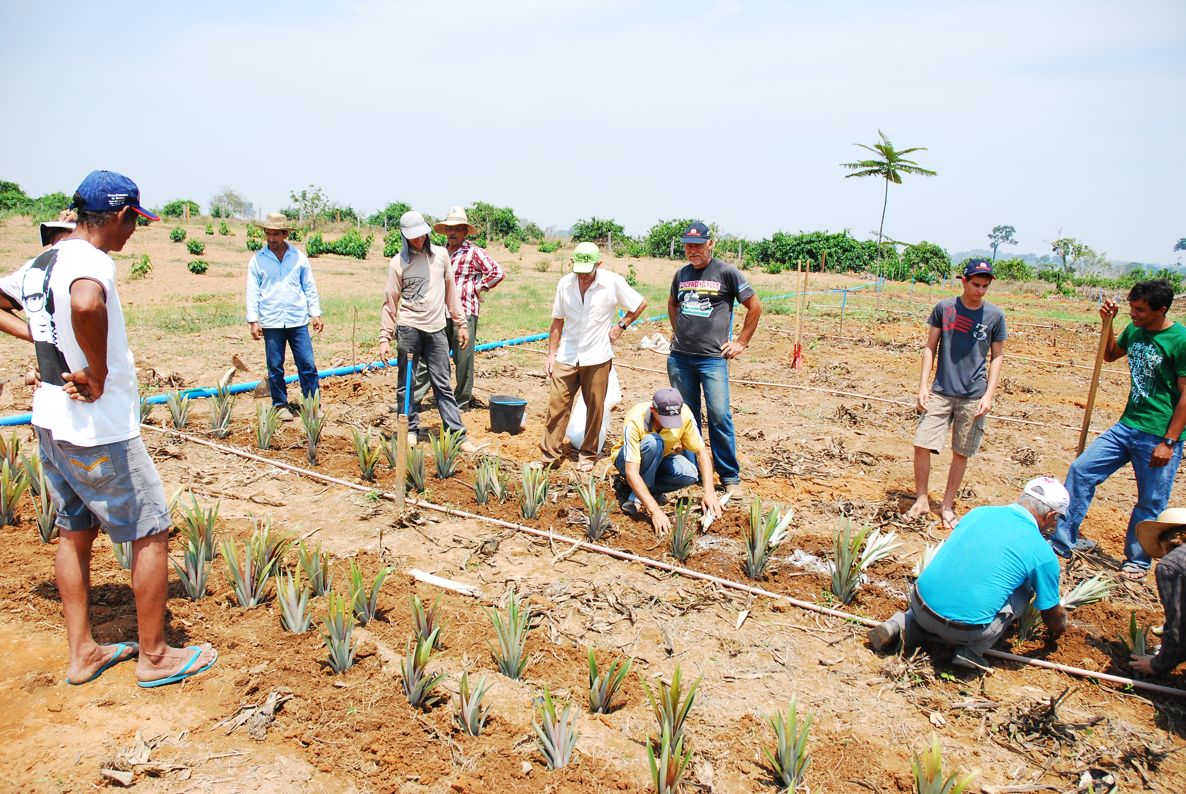 Dezoito produtores rurais do norte do Mato Grosso participaram da capacitação promovida pelo WWF-Brasil.