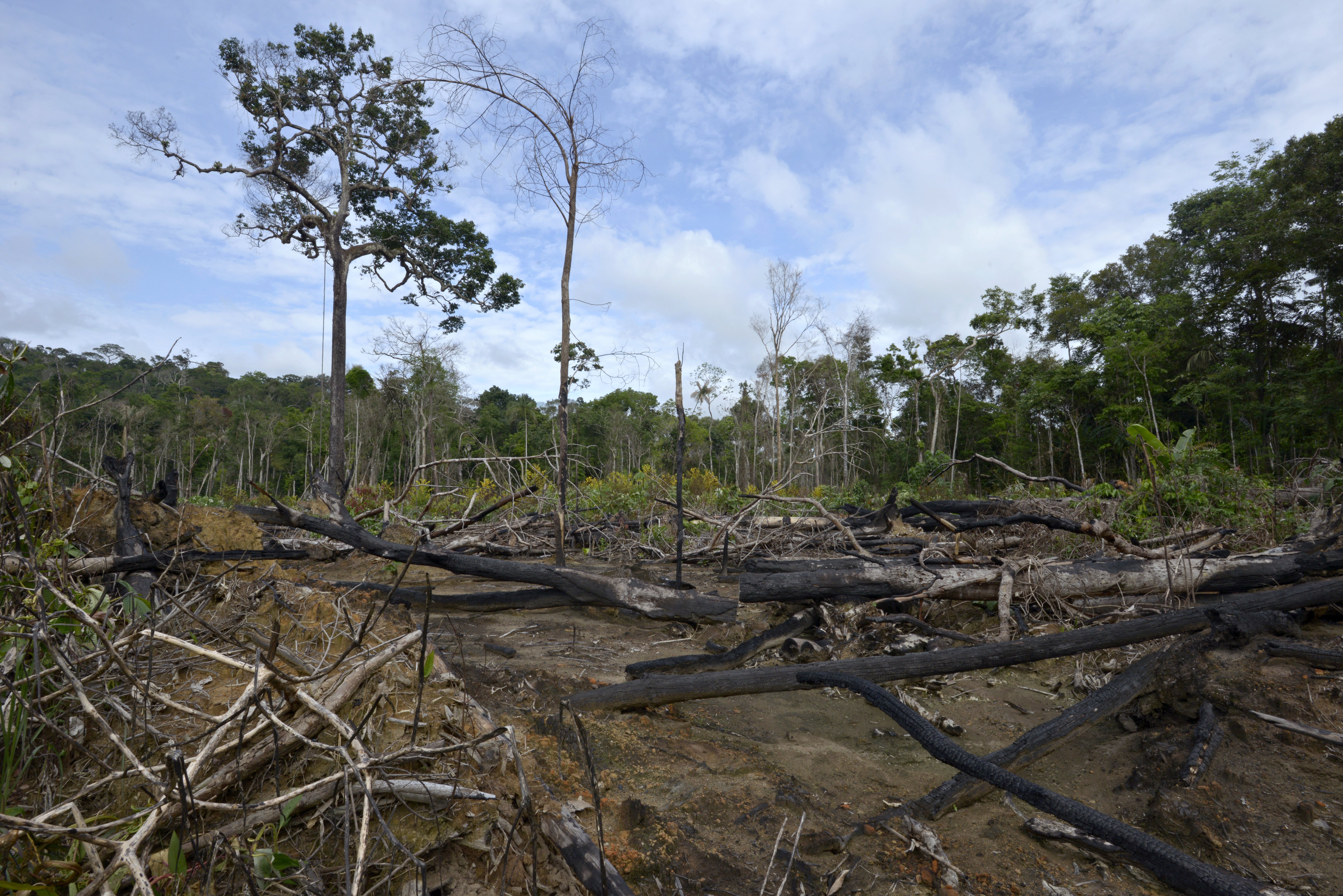 Os alertas de desmatamento de janeiro a abril de 2020 indicam que ao menos 10% das áreas desmatadas estão dentro de Unidades de Conservação e Terras Indígenas
