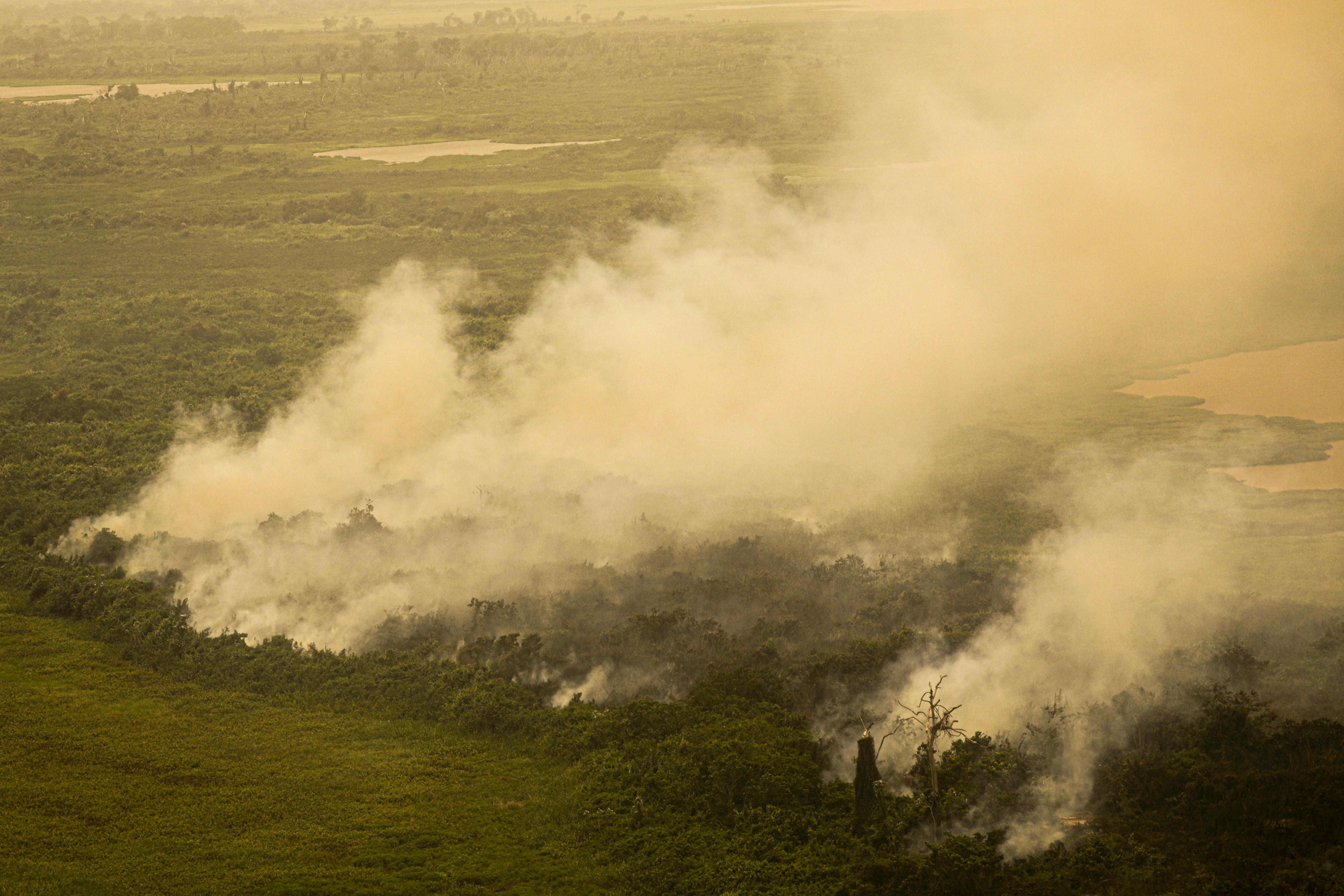 Crise climática: seca severa na Amazônia é agravada por desmatamento e fogo