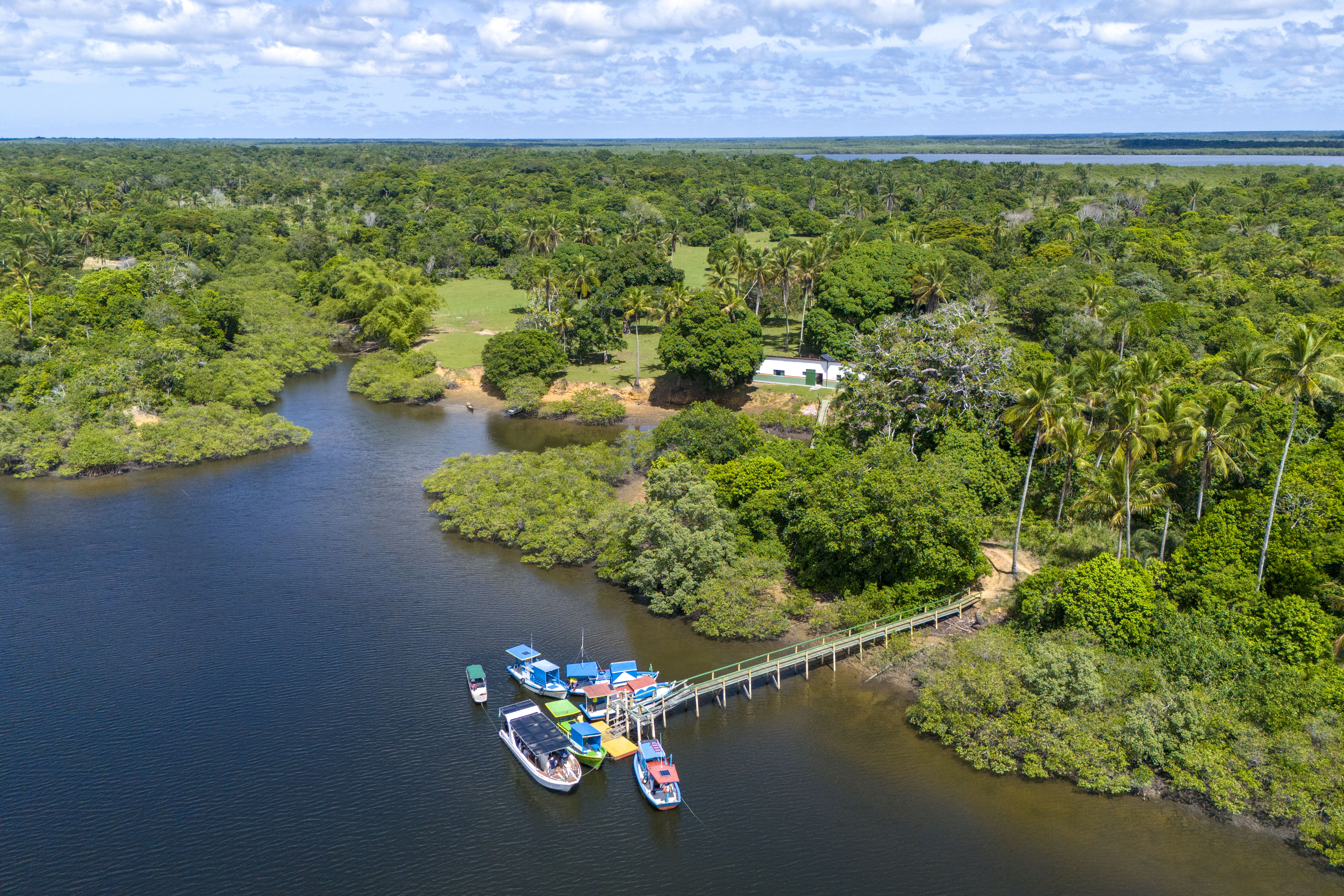 Vista aérea de um rio cercado por vegetação abundante de manguezais e Mata Atlântica, com pequenas embarcações atracadas em um píer, destacando a paisagem da Reserva Extrativista Cassurubá e o modo de vida das comunidades locais.