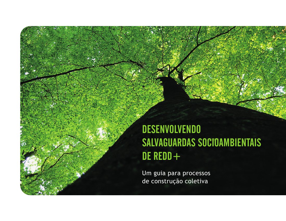 Capa da publicação 
