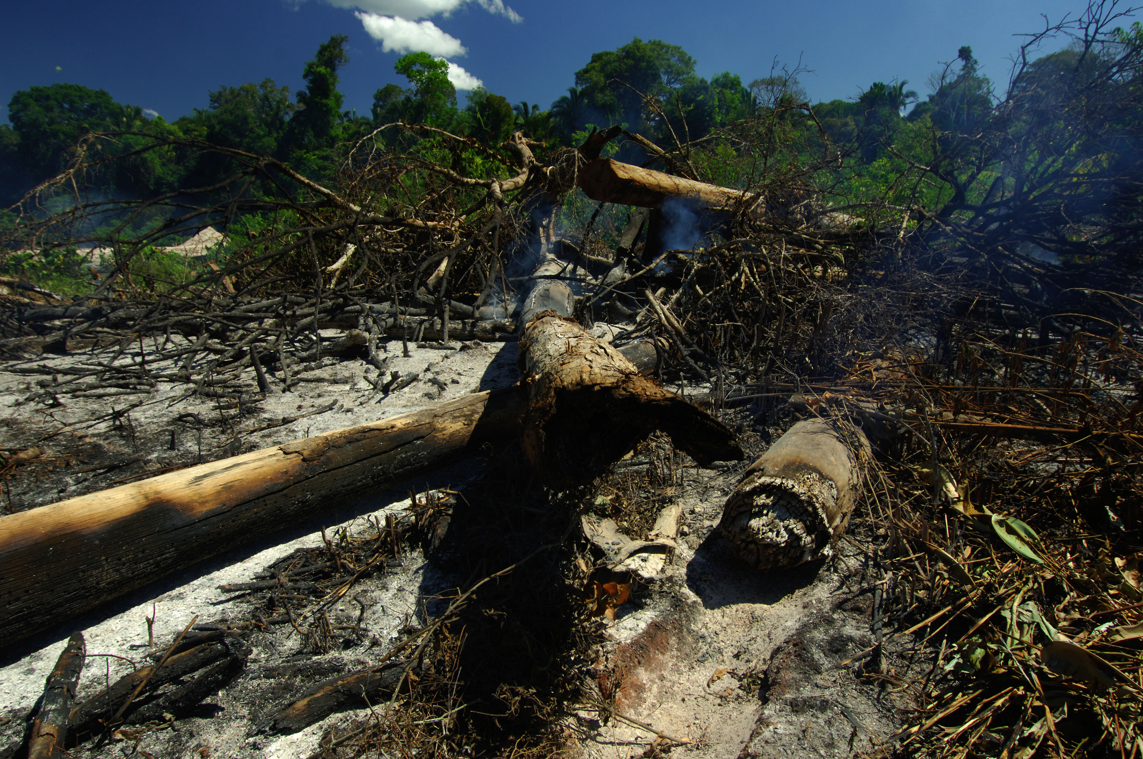 Desmatamento e queimada na Amazônia.