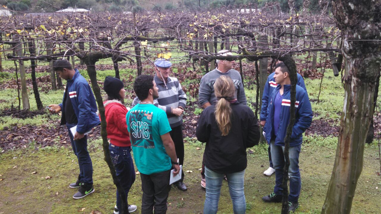 O projeto incluiu viagens para vinícolas de Bento Gonçalves (RS), onde os participantes conheceram experiências de associativismo e cooperativismo