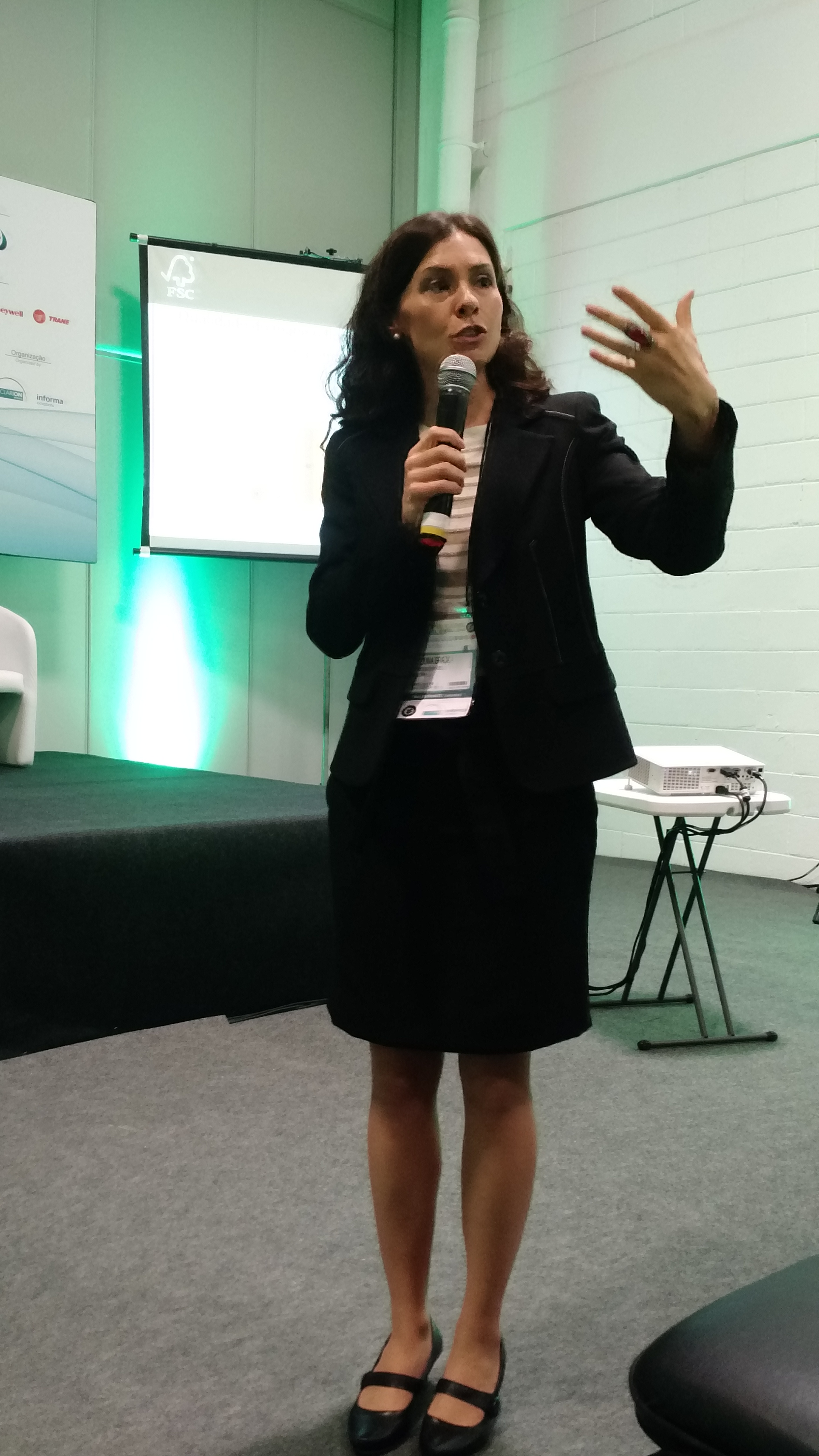 Para Carolina Graça, do FSC Brasil, as certificações ajudam a combater as ilegalidades existentes na exploração madeireira