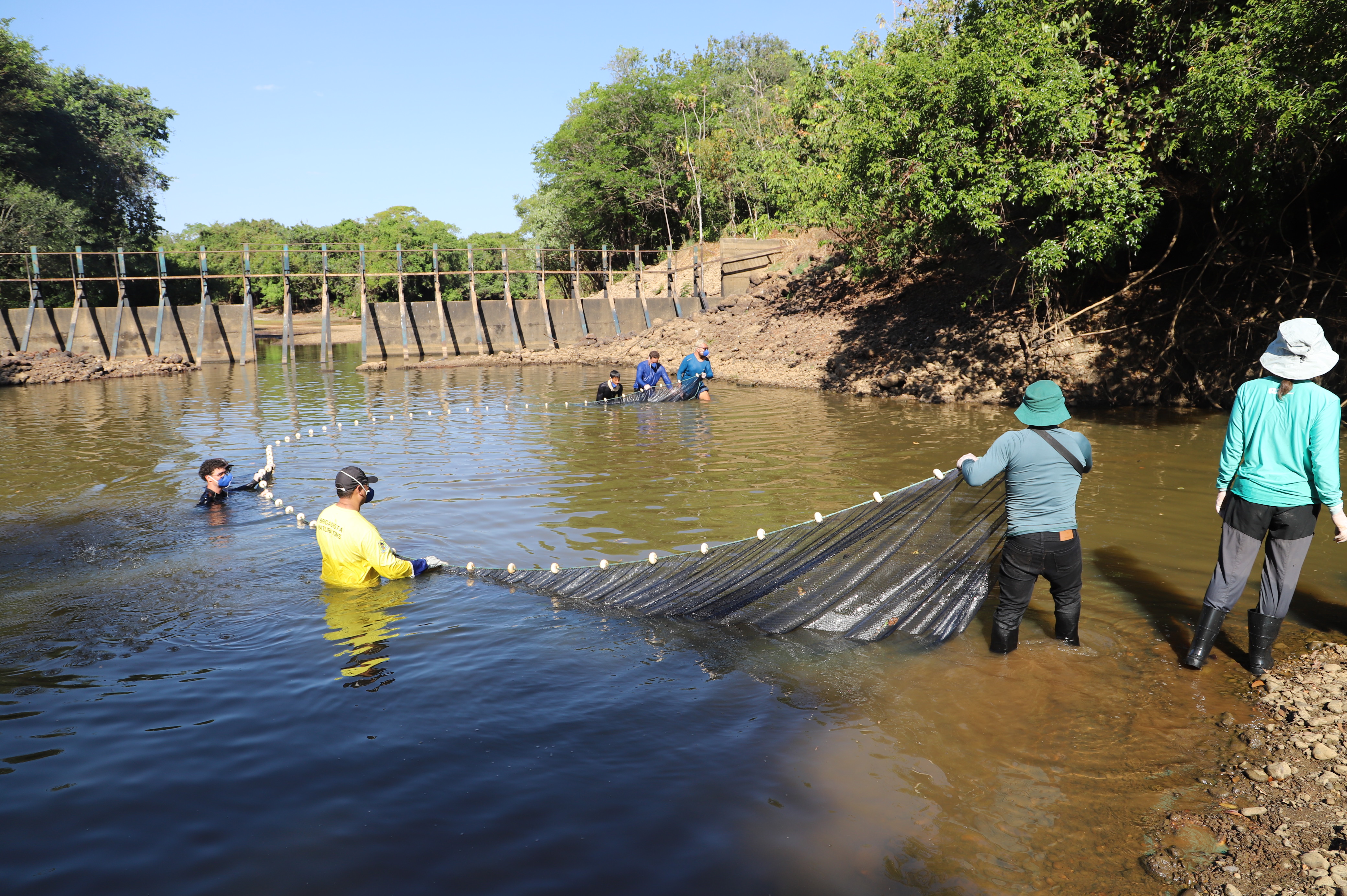Dois botos estavam retidos em uma poça localizada próxima a um barramento utilizado para abastecimento e irrigação de áreas de monocultivo