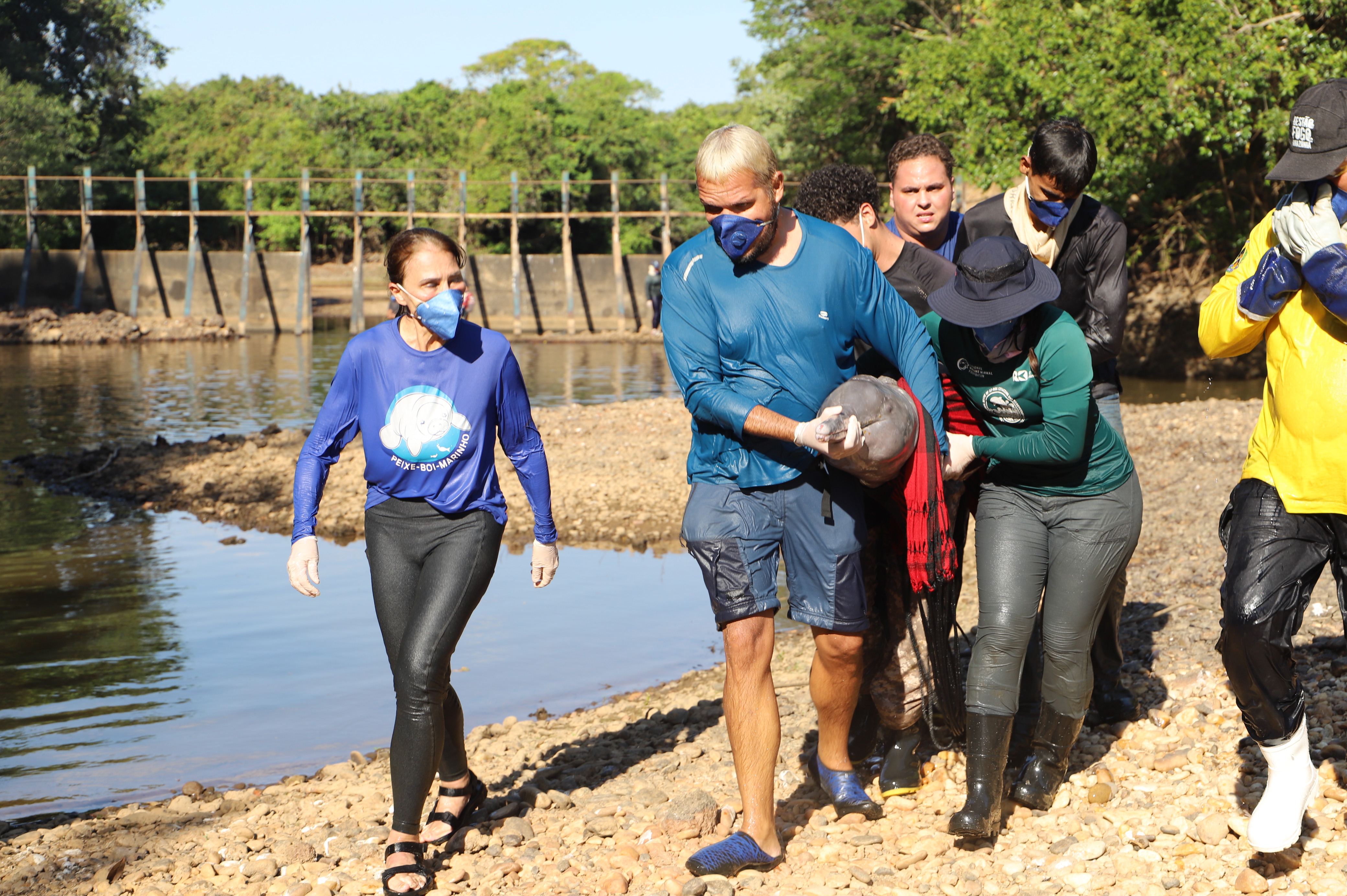A ação reuniu especialistas em golfinhos de rio de órgãos ambientais e atores locais e estabeleceram um plano de monitoramento