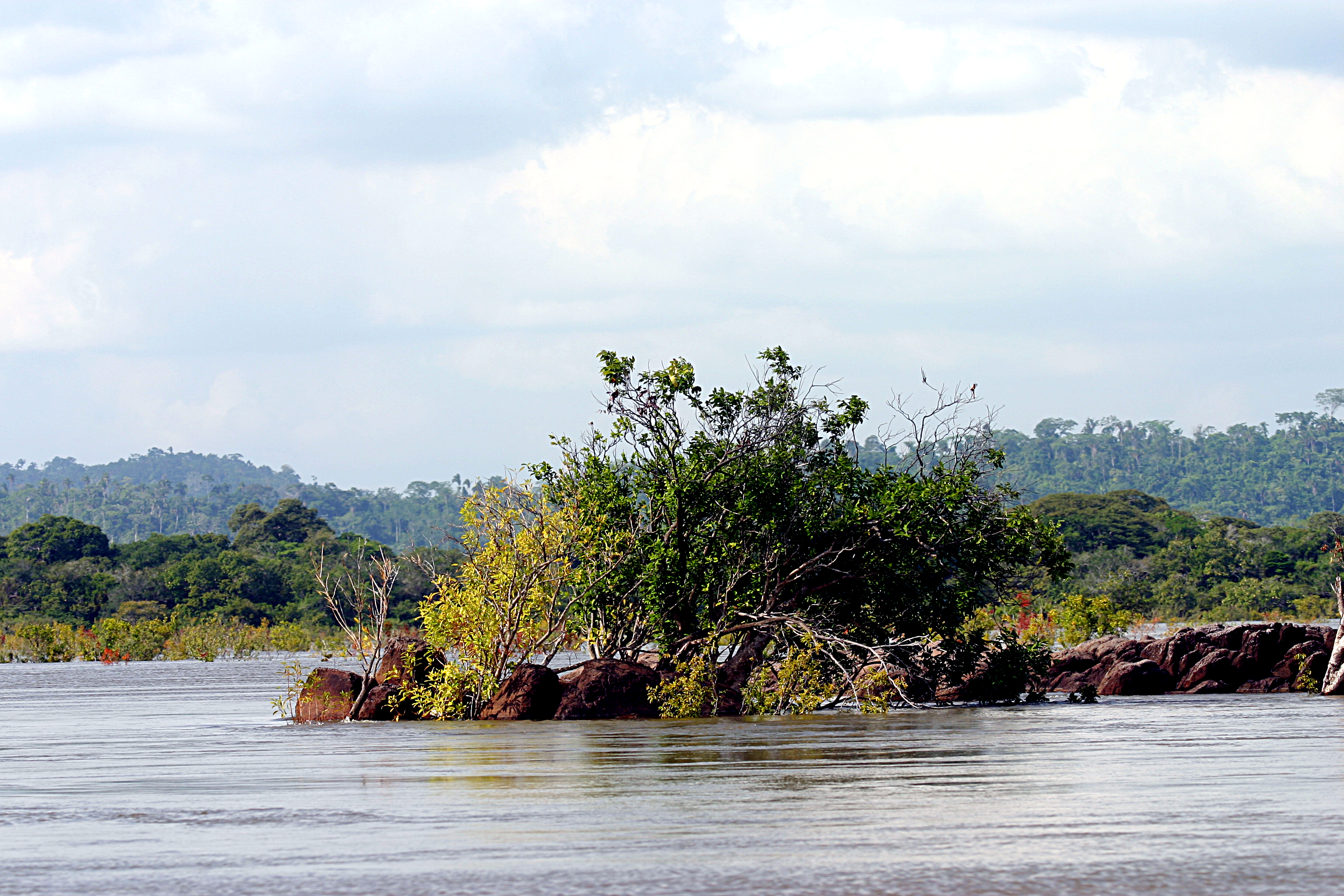 Xingu