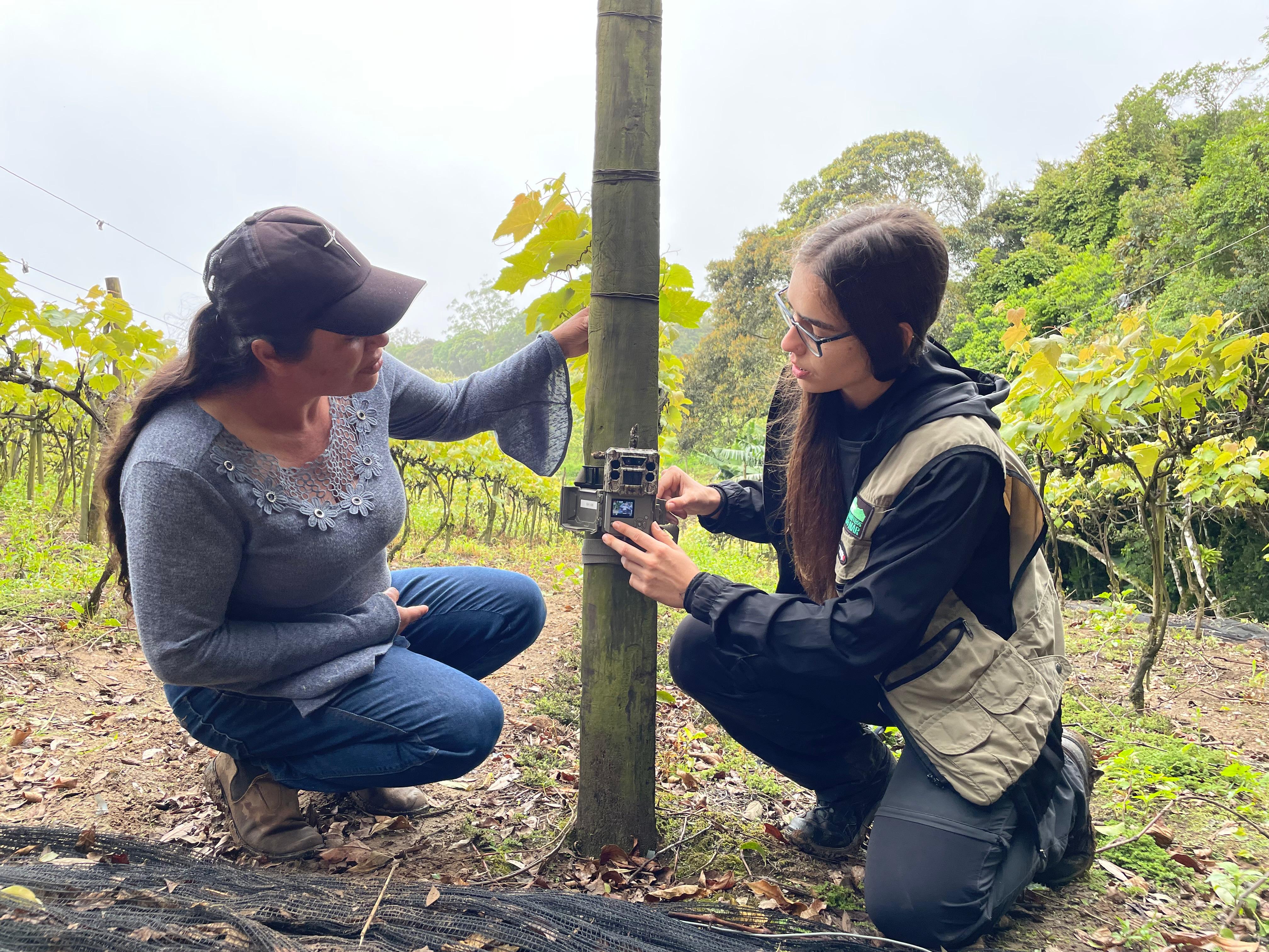 Entre os principais capítulos da publicação há um voltado a agricultores, com orientações para instalação de barreiras físicas para proteção dos cultivos